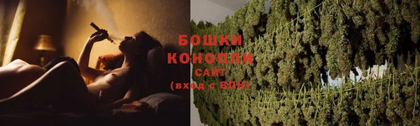 амф Гусь-Хрустальный