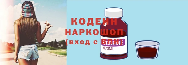 амф Гусь-Хрустальный