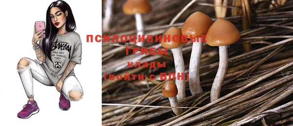 не бодяженный Гусиноозёрск
