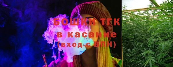 амф Гусь-Хрустальный