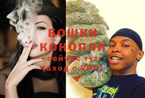 амф Гусь-Хрустальный